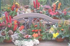 Garten- und Landschaftsbau Peter Ruch - Gärtnerei am  Heiligensee - Floristik