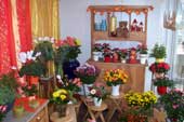 Garten- und Landschaftsbau Peter Ruch - Gärtnerei am  Heiligensee - Floristik