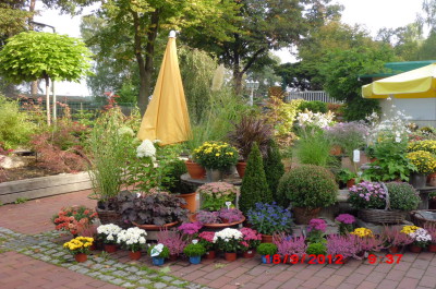 Garten- und Landschaftsbau Peter Ruch - Gärtnerei am  Heiligensee - Floristik